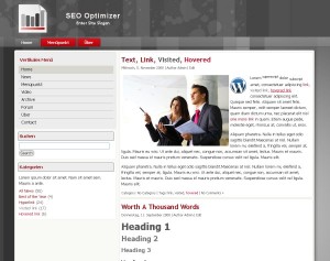 SEO Optimizer Theme für WordPress