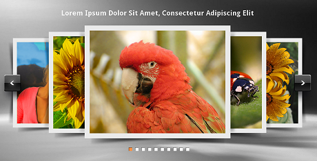 All In One Banner jQuery Plugin Beispiel Carousel