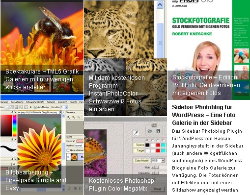 Dynamic Grid: WordPress Posts Feed Slider Dynamic Grid: WordPress Posts Feed Slider