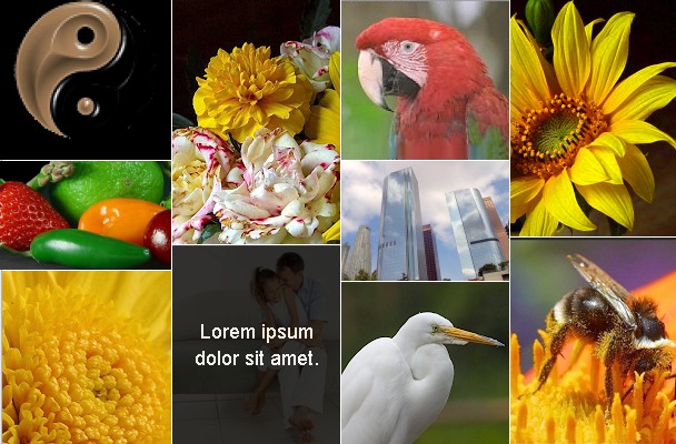 Dynamic Grid Photo Gallery Plugin für WordPress