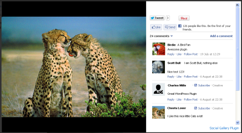 Social Gallery WordPress Photo Viewer Plugin