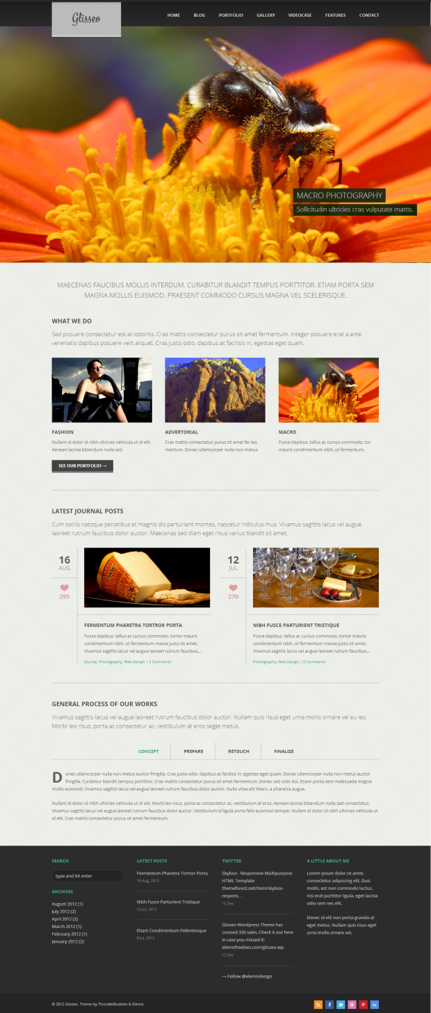 Eine der vielen Layout Möglichkeiten des Glisseo WordPress Theme