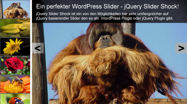 jQuery Slider Shock