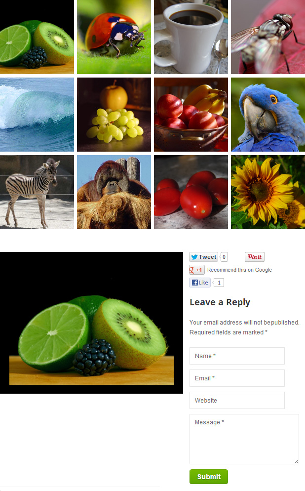 Epic Gallery Plugin für WordPress