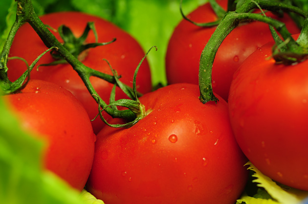 Stock Photo Tomaten