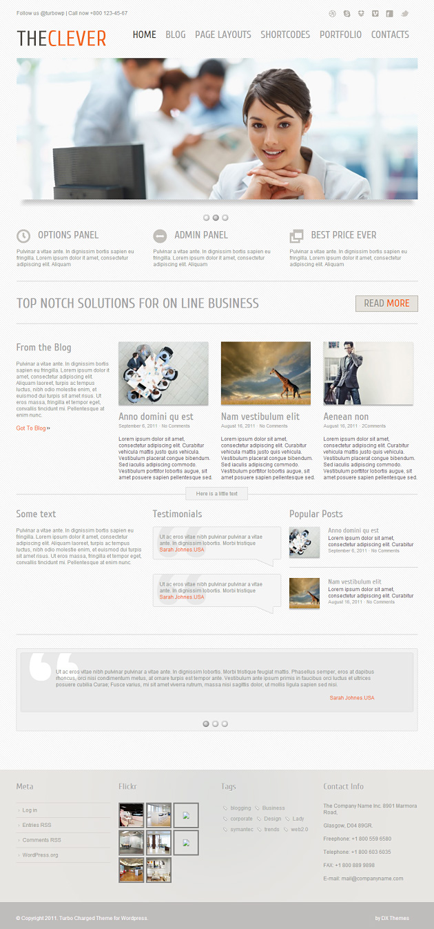 The Clever WordPress Premium Theme