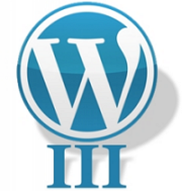 WordPress 3 ist da