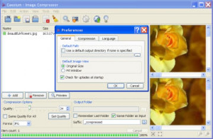 Caesium ein Freeware Bild-Komprimierer