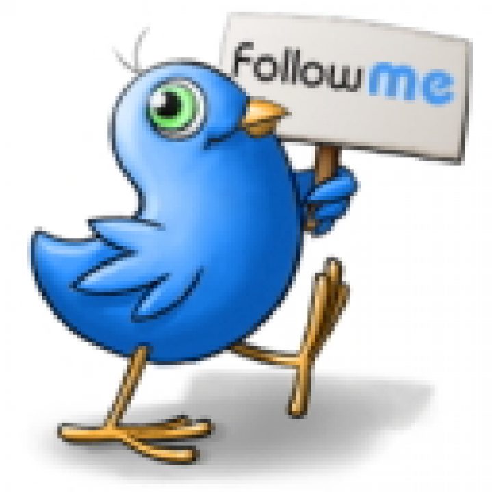 Twitter Bird Follow