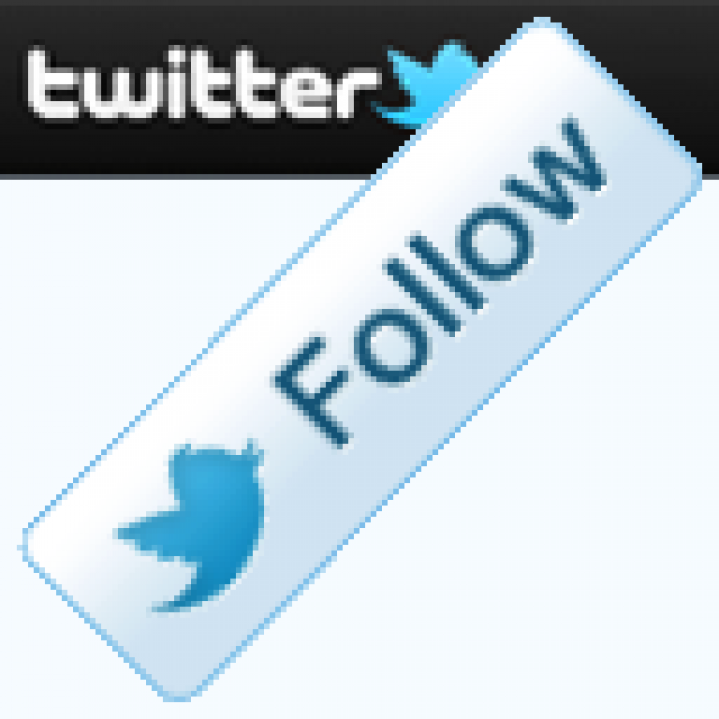 Twitter Follow Button
