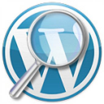 WordPress unter der Lupe